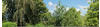 KARIBU Gartenhaus »Kerko 5«, Holz, BxHxT: 302 x 210 x 246 cm (Außenmaße) - beige