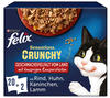 felix Katzen-Nassfutter »Felix Sensations Crunchy«, Felix Sensations Crunchy