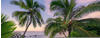 KOMAR Vliestapete »Hawaiian Dreams «, Breite 450 cm, seidenmatt - bunt