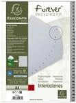 Exacompta Ordnerregister Vollformat 1-31 DIN A4