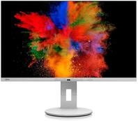 Fujitsu P2711 TE Monitor 68,5 cm (27 Zoll)