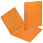 PAGNA Ringbuch 2-Ringe DIN A4 3.3 cm orange