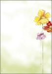 SIGEL Spring Flowers Motivpapier DIN A4 90 g/m&sup2;