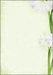 SIGEL Green Flower Motivpapier DIN A4 90 g/m&sup2;