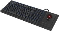 KeySonic KSK-8202ELU-T kabelgebundene Tastatur mit gro&szlig;em Trackball - QWERTY...