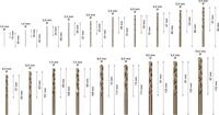 BOSCH Metallbohrer-Set Pro Box HSS-Cobalt-Legierung 19-teilig