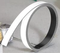FRANKEN Magnetband 1,0 x 100,0 cm wei&szlig;