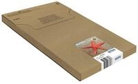 Epson Original Easy Mail Packing 603XL Seestern Druckerpatronen 4er Multipack