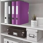 LEITZ Ordner R&uuml;ckenbreite 6.5 cm DIN A4 Kunststoff violett