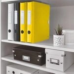 LEITZ Ordner R&uuml;ckenbreite 6.5 cm DIN A4 Kunststoff gelb