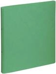 PAGNA Ringbuch 2-Ringe DIN A4 3 cm gr&uuml;n