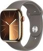 Apple Watch Series 9 (GPS + Cellular) 45mm Edelstahlgehäuse gold, Sportband grau M/L