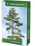 Naturquartett Heimische Nadelb&auml;ume