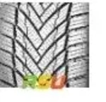 Rotalla Setula W Race S330 XL 3PMSF MFS 255/40 R20101V Winterreifen
