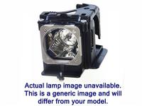 Originale ACER P7305W Lampe