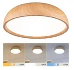 Paulmann 71083 Selection Bathroom LED Deckenleuchte Oka IP44 White Switch 950lm 230V