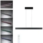 Paulmann 78474 LED Pendelleuchte Raiko RGBW+ 2300lm / 370lm 19W / 6W Schwarz