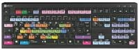 Logickeyboard Apple-Tastatur (FL Studio Astra 2 DE (PC) FL Studio Tastatur...