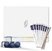 Wunder Zahnstocher Mundpflegecenter Wunder Zahnstocher - 200er Set Blaubeere Einzeln