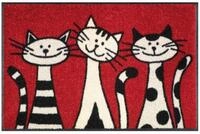 wash+dry by Kleen-Tex Fu&szlig;matte Fu&szlig;matte 50x75 Three Cats, Eingangsmatte...