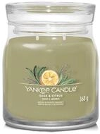 Yankee Candle Duftkerze Aromatic candle Signature glass medium Sage & Citrus 368 g