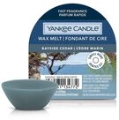 Yankee Candle Duftkerze Yankee Kerze Bayside Zeder Wachs Schmelzen 22g
