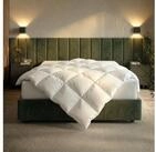 RIBECO Daunenbettdecke Johanna, Bettdecke in 135x200 und 155x220cm und weiteren