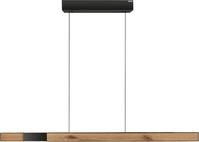 Neuhaus PURE LED Pendelleuchte PURE Moto-Rise, CCT - &uuml;ber Fernbedienung, LED...