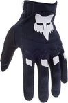 Fox Racing Motorradhandschuhe Dirtpaw 2023 Solid Motocross Handschuhe...
