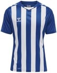 hummel Fu&szlig;balltrikot Hummel hmlCORE XK Striped Trikot F9124 Teamsport