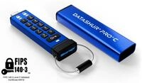 iStorage datAshur PRO+ Type C 256GB (IS-FL-DA3C-256-256) USB-Stick