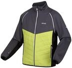 Regatta Funktionsjacke Softshelljacke Steren Hybrid