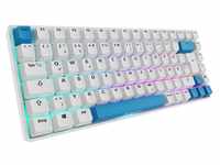 Sharkoon SKILLER SGK50 S3 PBT Tastatur