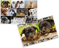 HERMA Schreibtischunterlage Schreibunterlage 55x35cm Hunde (3 St&uuml;ck)