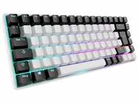 Sharkoon SKILLER SGK50 S3 Tastatur