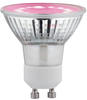 Paulmann LED-Pflanzenlampe Wachstum 230V GU10