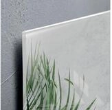 Sigel Wandtafel Glas-Magnettafel Artverum 130x55cm Botanic