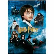 SD Toys Puzzle Harry Potter lizenziertes 50-Teile-Puzzle, Puzzleteile
