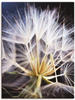 Artland Wandbild Pusteblume, Blumen (1 St), als Leinwandbild, Poster in...