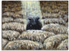 Artland Wandbild Schwarzes Schaf, Haustiere (1 St), als Leinwandbild in...