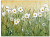 Artland Wandbild Gänseblümchenfrühling II, Blumen (1 St), als Alubild,