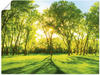 Artland Wandbild Frühlingswärme II, Wiesen & Bäume (1 St), als Leinwandbild,