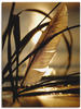Artland Wandbild Feder im Abendlicht, Gräser (1 St), als Leinwandbild, Poster,
