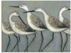 Artland Wandbild Küstenvögel I, Vögel (1 St), als Alubild, Outdoorbild,