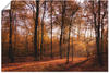 Artland Wandbild Sonnenaufgang im Herbst II, Wald (1 St), als Alubild,...