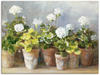 Artland Wandbild Weiße Geranien, Blumen (1 St), als Leinwandbild, Poster in