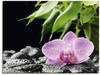 Art-Land Rosa Orchidee auf schwarzen Zen Steinen 60x45cm