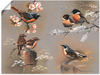 Artland Wandbild Vogel Komposition, Vögel (1 St), als Leinwandbild, Poster in