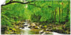 Artland Wandbild Herbstwald Fluss Smolny, Wald (1 St), als Leinwandbild, Poster,