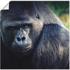 Artland Poster Gorilla, Wildtiere (1 St), als Leinwandbild, Wandaufkleber oder...